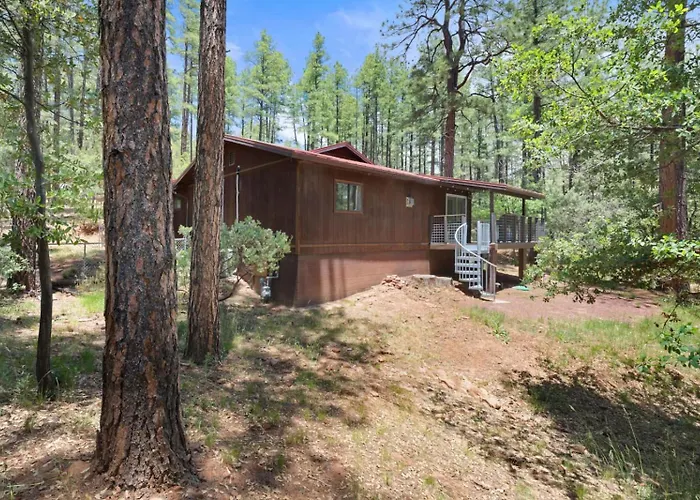 Summers Rest Mountain In The Pines *